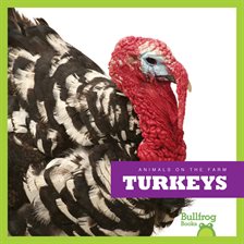 Imagen de portada para Turkey