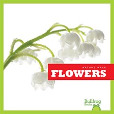 Imagen de portada para Flowers