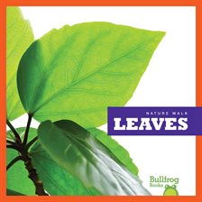 Imagen de portada para Leaves