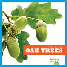 Imagen de portada para Oak Trees
