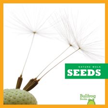 Imagen de portada para Seeds