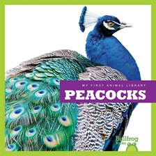 Cover image for Peacocks