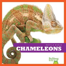 Cover image for Chameleons