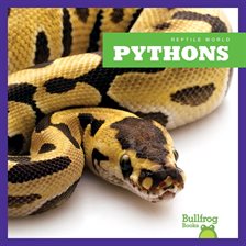 Cover image for Pythons