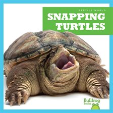 Cover image for Snapping Turtles