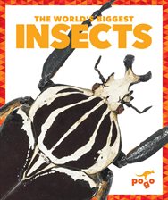Cover image for The World's Biggest Insects