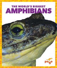 Cover image for The World's Biggest Amphibians