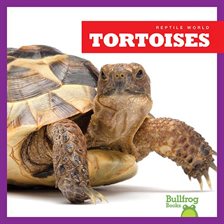 Cover image for Tortoises