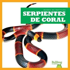 Serpientes de coral