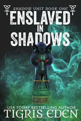 Cover image for Enslaved in Shadows