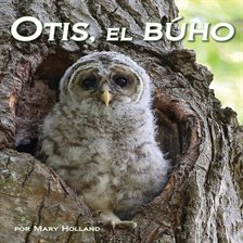 Cover image for Otis, el búho
