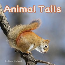 Cover image for Animal Tails