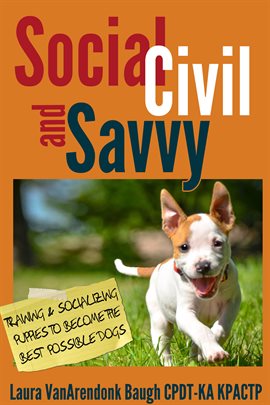 Imagen de portada para Social, Civil, and Savvy