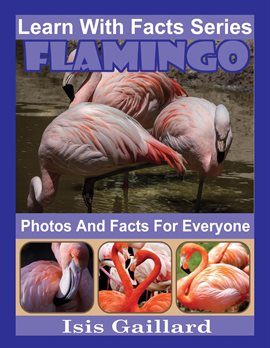 Cover image for Flamingo Photos and Facts for Everyone