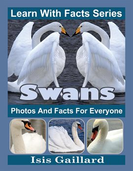 Cover image for Swans Photos and Facts for Everyone