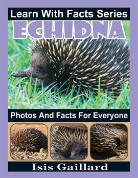 Cover image for Echidna Photos and Facts for Everyone
