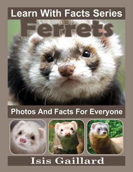 Cover image for Ferrets Photos and Facts for Everyone