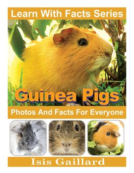 Cover image for Guinea Pigs Photos and Facts for Everyone