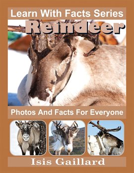 Cover image for Reindeer Photos and Facts for Everyone