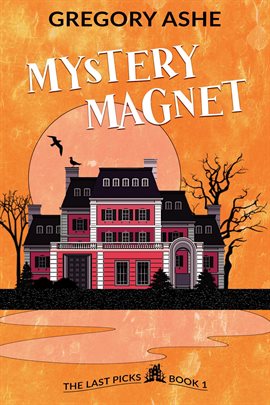 Cover image for Mystery Magnet