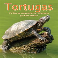 Cover image for Tortugas: Un libro de comparaciones y contrastes