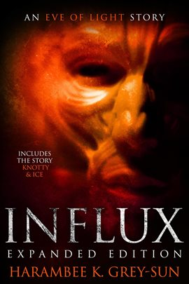 Cover image for Influx