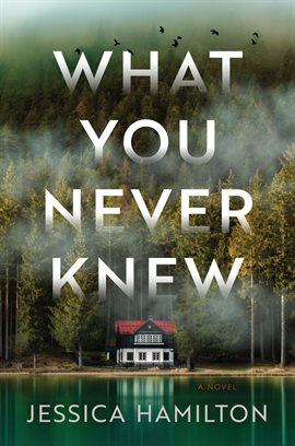 Cover image for What You Never Knew