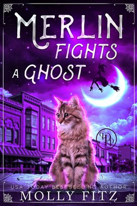 Cover image for Merlin Fights a Ghost