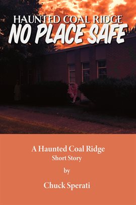 Cover image for No Place Safe