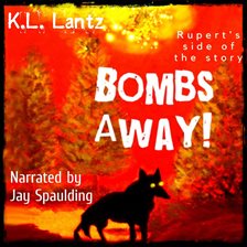 Cover image for Bombs Away!