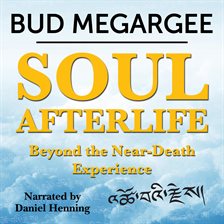 Imagen de portada para Soul Afterlife - Beyond the Near-Death Experience