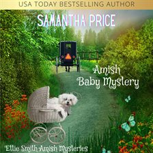 Cover image for Amish Baby Mystery