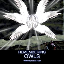 Imagen de portada para Remembering Owls