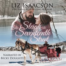 Cover image for The Sleigh on Seventeenth Street