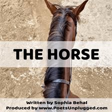 Cover image for The Horse