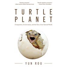 Cover image for Turtle Planet