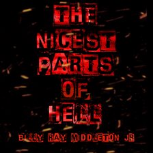 Cover image for The Nicest Parts of Hell