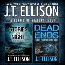Imagen de portada para A Bundle of Shadowy Tales