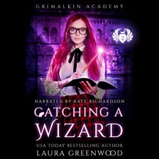 Cover image for Catching a Wizard