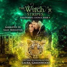 Cover image for The Witch's Stripes