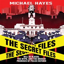 Cover image for The Secret Files