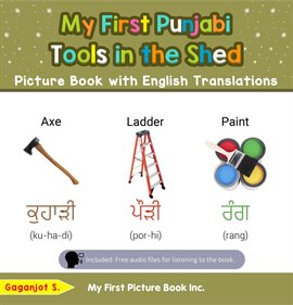 Cover image for My First Punjabi Tools in the Shed Picture Book With English Translations