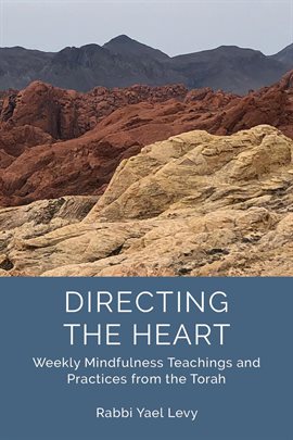 Imagen de portada para Directing the Heart: Weekly Mindfulness Teachings and Practices From the Torah