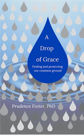 Cover image for A Drop of Grace: Finding and Protecting our Common Ground