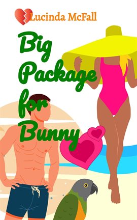 Imagen de portada para Big Package for Bunny