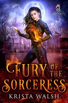 Cover image for Fury of the Sorceress