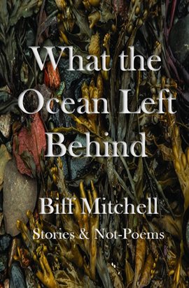 What the Ocean Left Behind