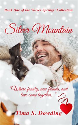 Cover image for Silver Mountain