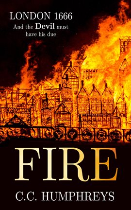 Cover image for Fire