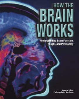 Cover image for How The Brain Works